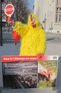 L214 :les poules pondeuses (07.02.11) Stop-elevage-cage