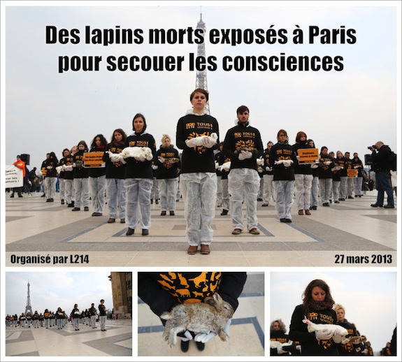  Vidéo : pour montrer l'élevage de lapins made in France (L214) Lapins-morts-Paris-Trocadero