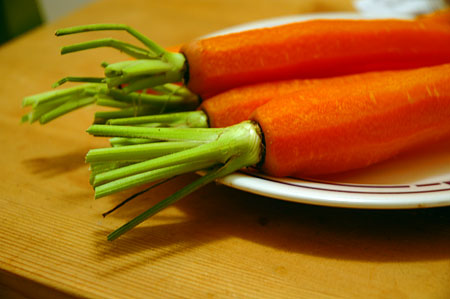 Champ de carottes 27-carotte-epluchee