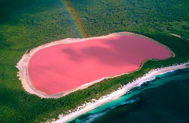 Site de Martine du 29 avril trouvé par Ajonc Lac-rose-hillier-australie-04