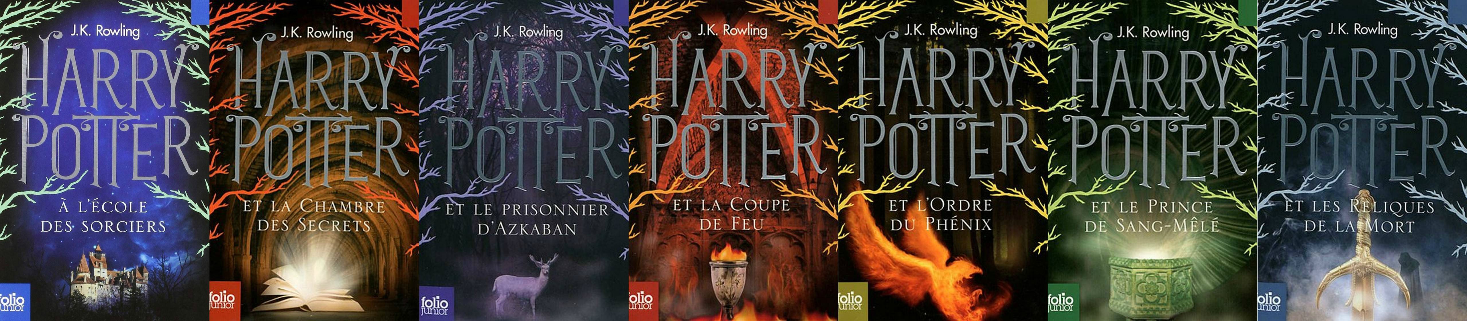 vous - Vous et la littérature - Page 7 Harry-Potter-Couverture-livre-12-6-New-French