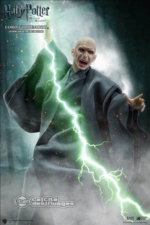 Lord Voldemort (Ralph Fiennes) 1/6 - Star Ace Stac0010a