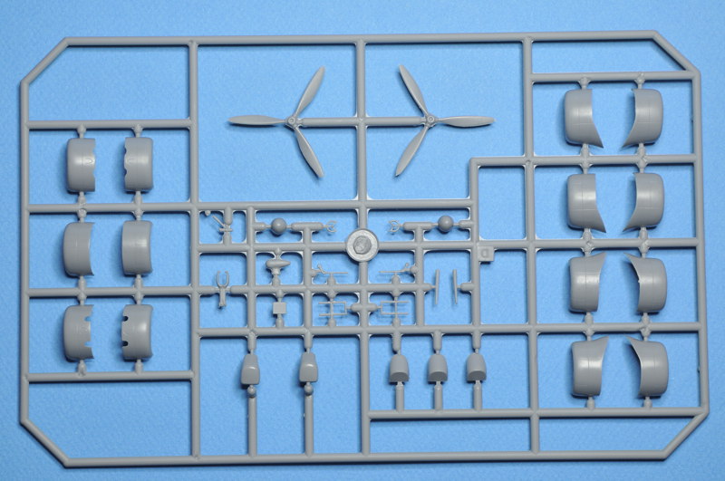 [Special Hobby] Douglas B18 Bolo _DSC9663