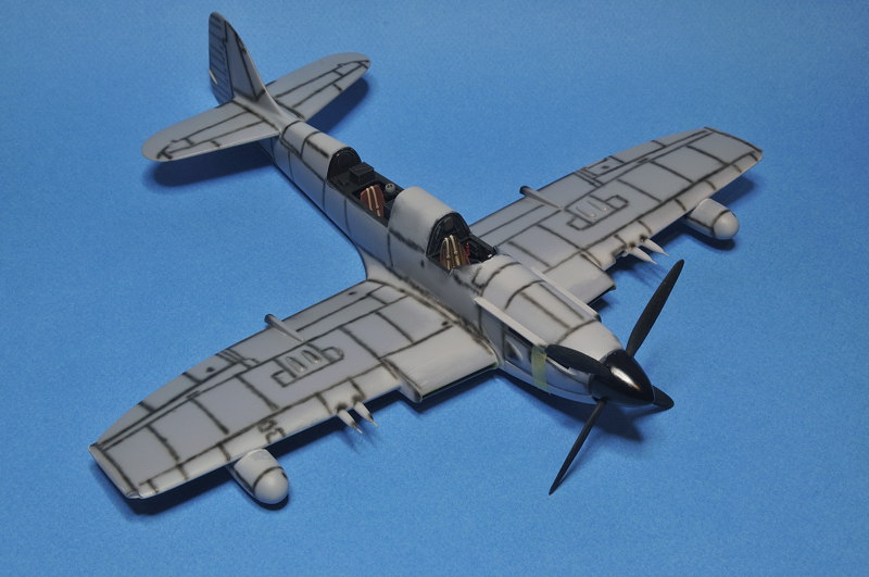 Fairey Firefly MkV [1/48 Special Hobby] - Page 2 _DSC6445