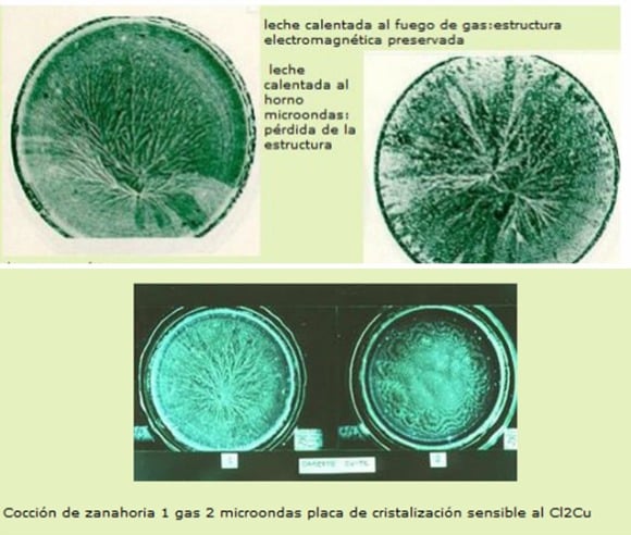 Los peligros ocultos del microondas Microondas1