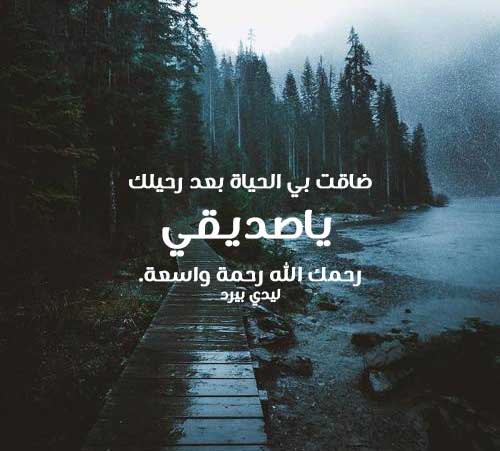 اهلا وسهلا بالاستاذة حنان محمد معنا  %D9%83%D9%84%D9%85%D8%A7%D8%AA-%D8%B4%D9%88%D9%82-%D9%84%D8%B5%D8%AF%D9%8A%D9%82-%D9%85%D9%8A%D8%AA