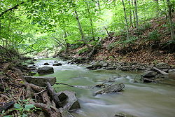 La Rivière-Frontière 250px-forest-creek-eagleville-pa-usa