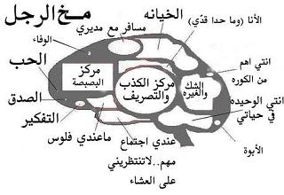 صور لعقول البشر 353554445