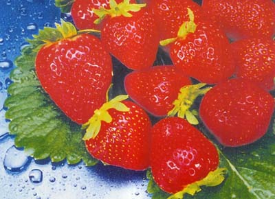 حافظ على صحتك Strawberry