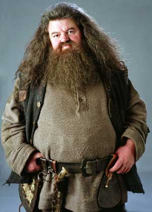 QUE TANTO SABES DE HARRY POTTER Robbie_coltrane