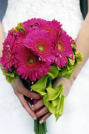 مستلزمات العروسة Pink-gerber-daisy-bouquet-175