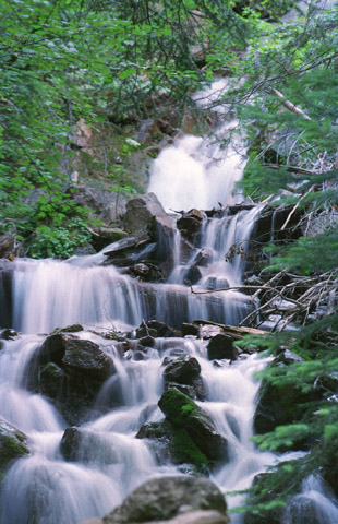 •Pond Dust Magic Wolves•- Part Eight-  The Lost Is Never Forgotten  NO MORE POSTING 10/29/09 HangingLake94