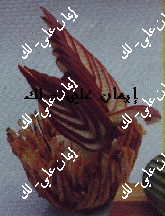 ملف كامل عن كيفية تزين الطعام  Imanzali_garnish38