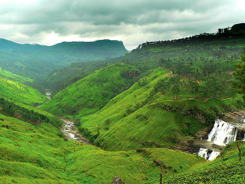 Potential River List and Info. on them 430-6-river-in-horton-plains