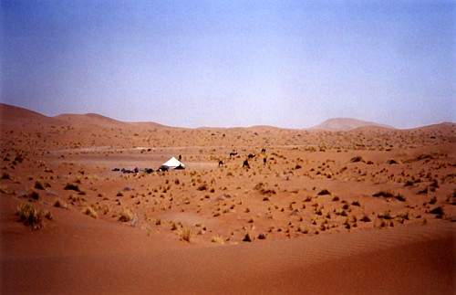 LIEN DU SAHARA Campement_au_loin