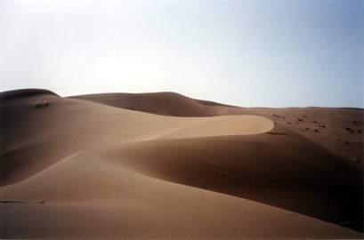 LIEN DU SAHARA Contour%20de%20dune