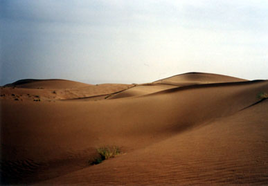 LIEN DU SAHARA Cretes%20de%20dunes