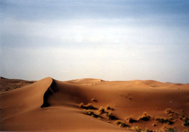 LIEN DU SAHARA Cretes%20de%20dunes2