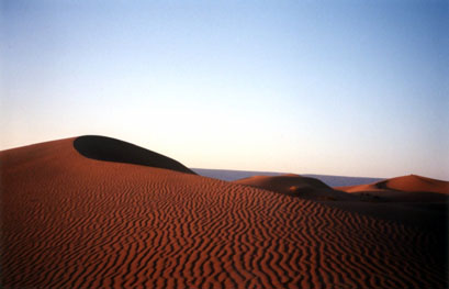 LIEN DU SAHARA Dune%20et%20frisottis