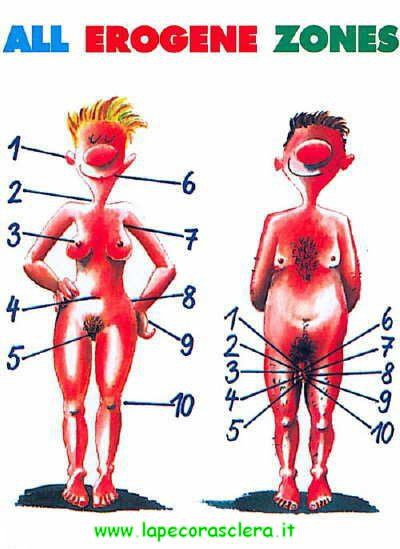 zone erogene maschili e femminili Zone_erogene