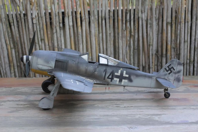 Mals Adventures....FW190A8R2...Hey Another FW190... 2010-1