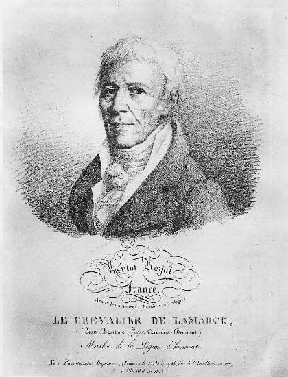 Fossiles et empreintes 1310243-Chevalier_de_Lamarck