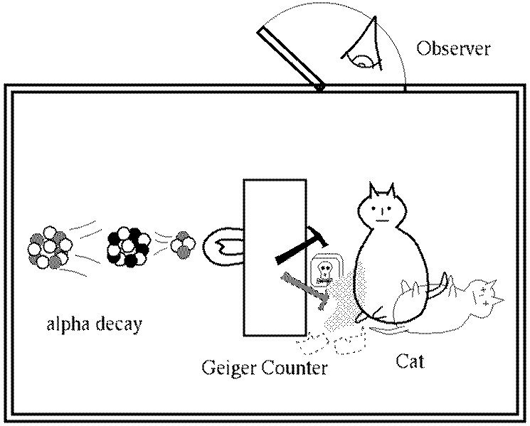 [Jeu] Association d'images - Page 15 Cat