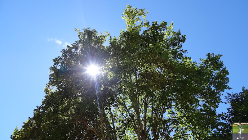 [58] 2018-08-11 au 14 : Dans le Morvan - St-Honoré les Bains 2018-08-11_14_Morvan_29