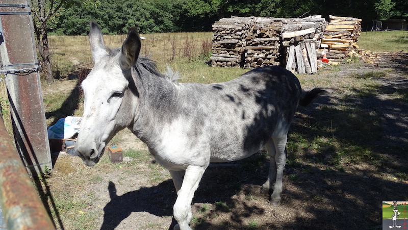 [58] 2018-08-11 au 14 : Dans le Morvan - St-Honoré les Bains 2018-08-11_14_Morvan_33