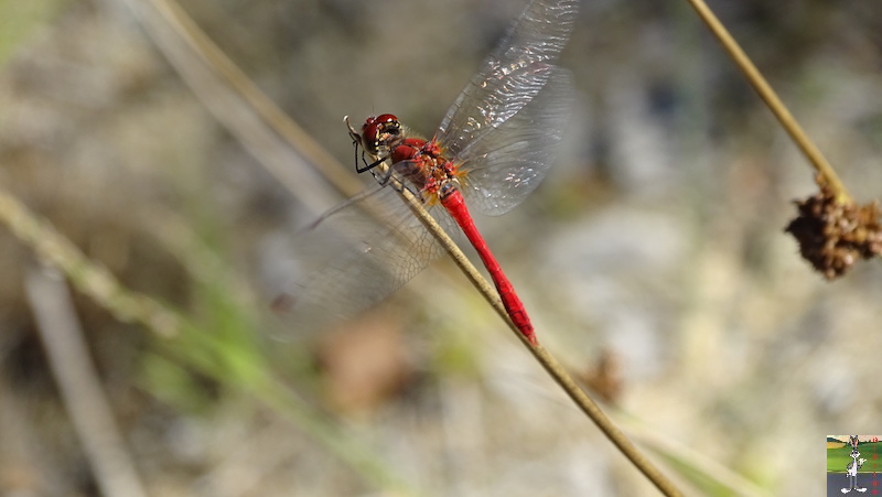 [58] 2018-08-11 au 14 : Dans le Morvan - St-Honoré les Bains 2018-08-11_14_Morvan_41