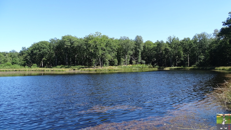 [58] 2018-08-11 au 14 : Dans le Morvan - St-Honoré les Bains 2018-08-11_14_Morvan_45