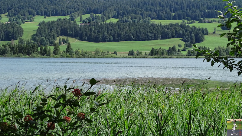 [VD-CH] : 2019-08-16 : Balade sur les bords du Lac de Joux 2019-08-16_Joux_05