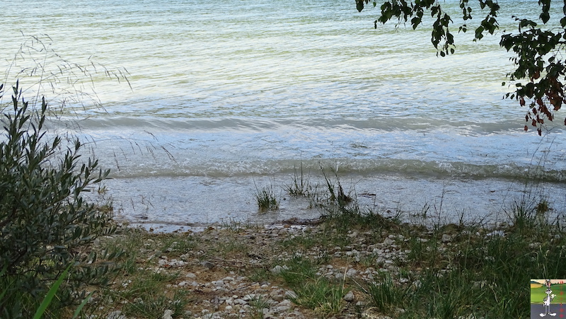 [VD-CH] : 2019-08-16 : Balade sur les bords du Lac de Joux 2019-08-16_Joux_30