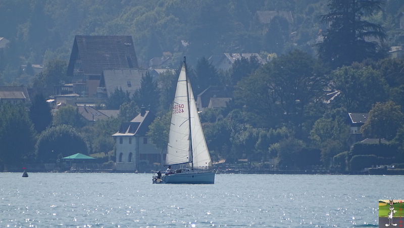 [74 - FR] : 2019-09-21 : Balade au bord du Lac d'Annecy 2019-09-21_Annecy_06