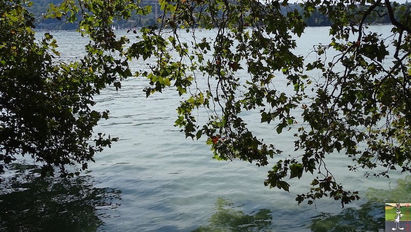 [74 - FR] : 2019-09-21 : Balade au bord du Lac d'Annecy 2019-09-21_Annecy_20