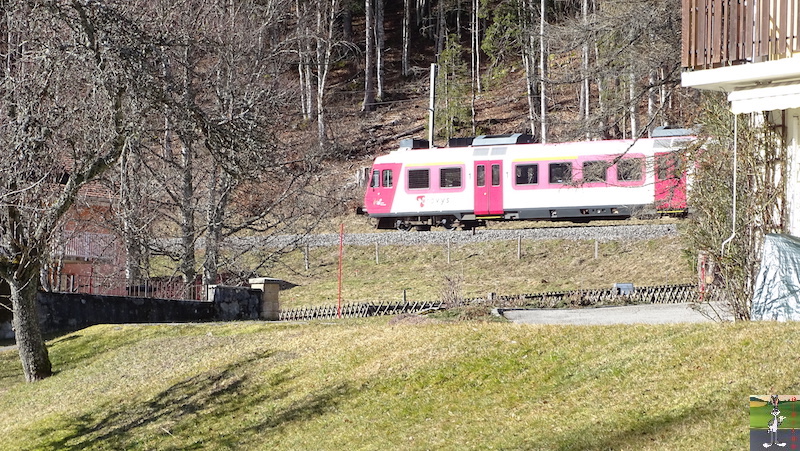 [VD-CH] : 2020-02-15 : Balade sur les bords du Lac de Joux 2020-02-15_lac_joux_09