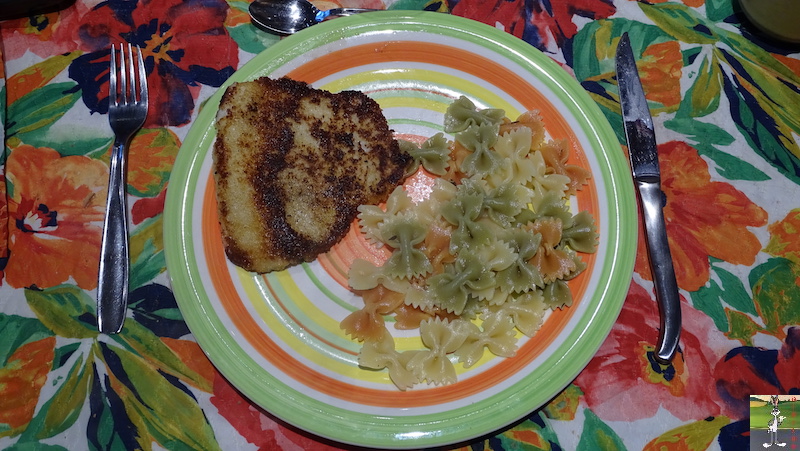 Mes plats que j'ai fait - Page 2 2019-07-28_escalope_panee_poulet_01