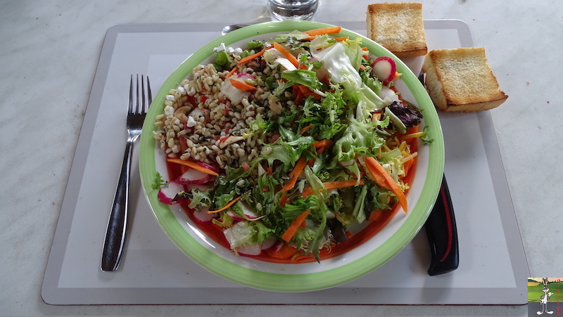 Mes plats que j'ai fait - Page 6 2020-06-23_salade_composee_01