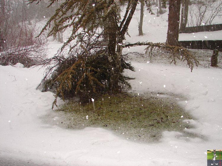 2010-02-24 : Neige à la Mainmorte (39) 2010-02-24_neige_03