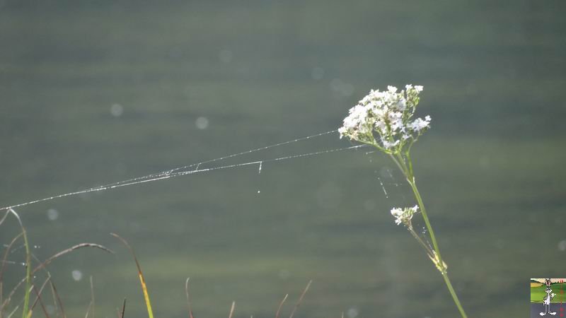 [39] : Le lac de Lamoura - Lamoura 2012-08-22_lac_lamoura_06