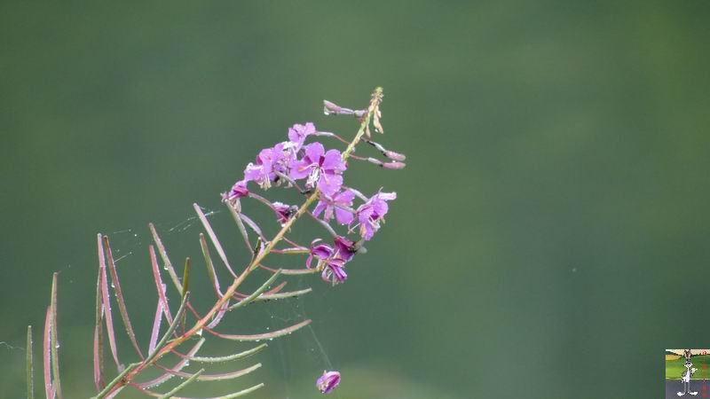 [39] : Le lac de Lamoura - Lamoura 2012-08-22_lac_lamoura_17