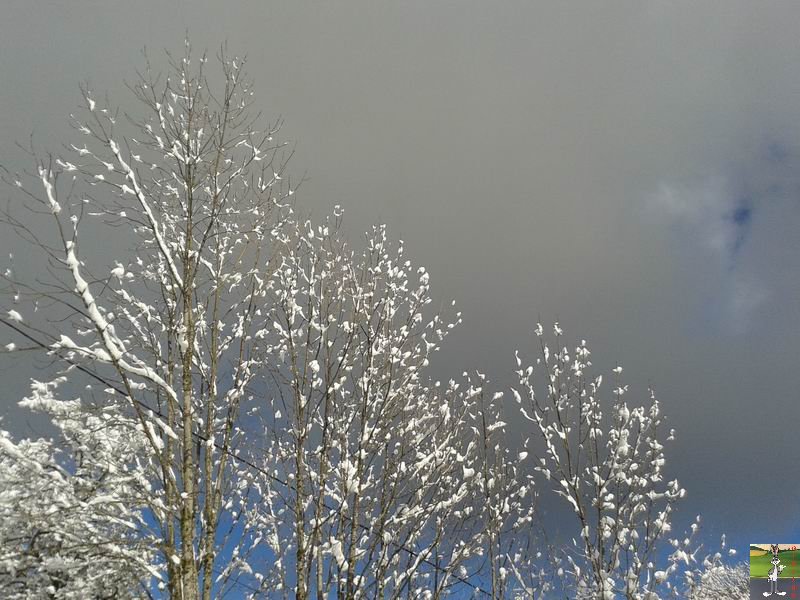 2014-01-24 : Neige et soleil à La Mainmorte (39) 2014-01-24_neige_soleil_17