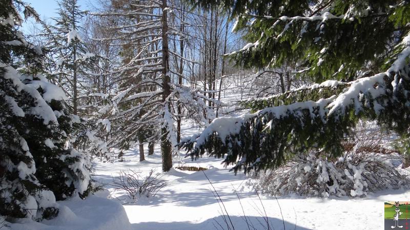 2014-12-31 : Neige, froid et soleil à La Mainmorte et en descendant à St-Claude (39) 2014-12-31_neige_soleil_02