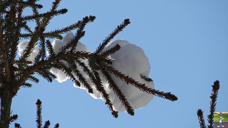 2014-12-31 : Neige, froid et soleil à La Mainmorte et en descendant à St-Claude (39) 2014-12-31_neige_soleil_04