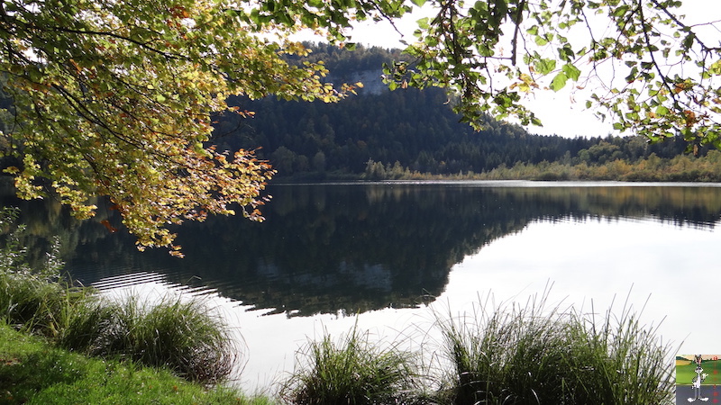 Les 4 Saisons de "Mon Jura" - Page 8 2015-10-04_lac_bonlieu_02