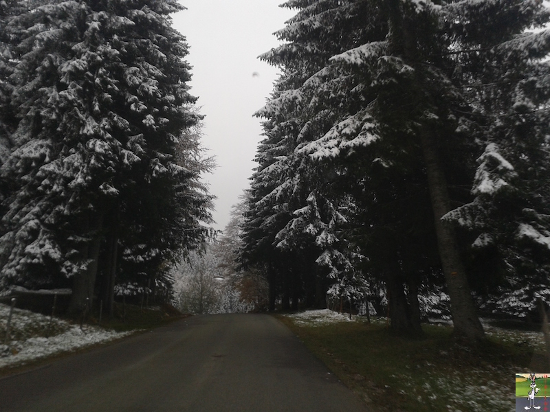 2015-10-16 : Première neige dans la foret de Haut-Cret (39) 2015-10-16_premiere_neige_08