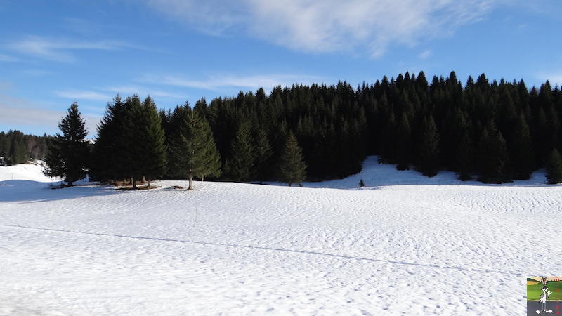 2015-12-05 : Balade dans les Hautes Combes, puis dans les Lacets de Septmoncel (39) 2015-12-05_balade_06