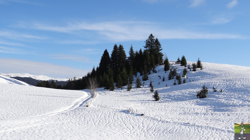 2015-12-05 : Balade dans les Hautes Combes, puis dans les Lacets de Septmoncel (39) 2015-12-05_balade_08