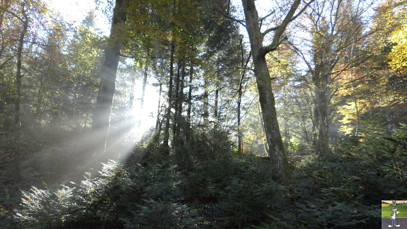 2016-10-31 : Arbois et ses environs (Chatelaine) (39) 2016-10-31_arbois_02