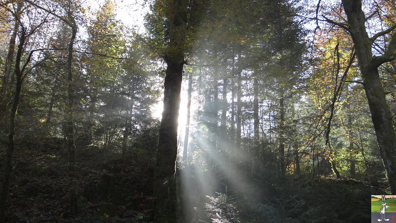 2016-10-31 : Arbois et ses environs (Chatelaine) (39) 2016-10-31_arbois_07